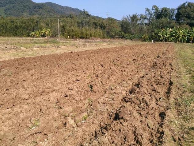 农村宅基地每户面积是多少(农村宅基地每户占地多少)