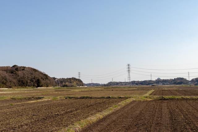 禅	城区面积多少平方公里