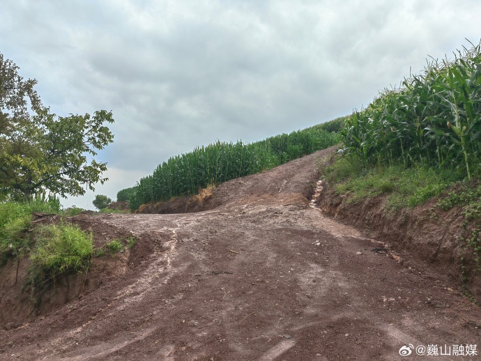 日本多少平方公里土地面积(日本国土面积多少)