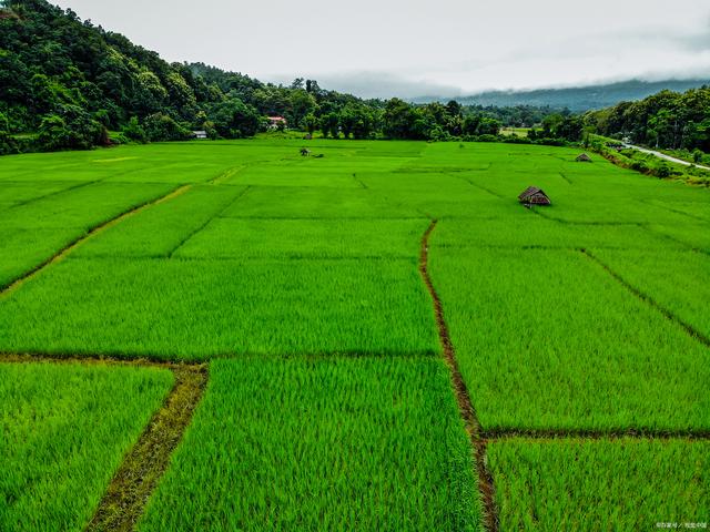 广	州城区面积多少平方公里